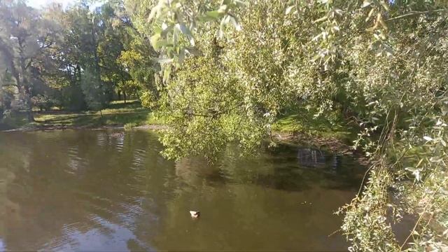 поганка смотреть онлайн