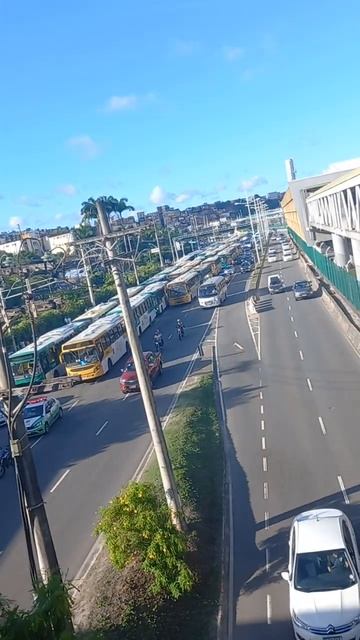 Greve De Buzu
