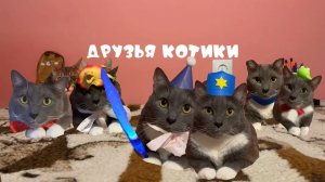 Фанатская заставка Котинет от Подписчиков