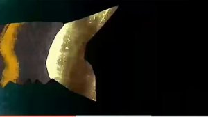 песня рыбы пилы в мире