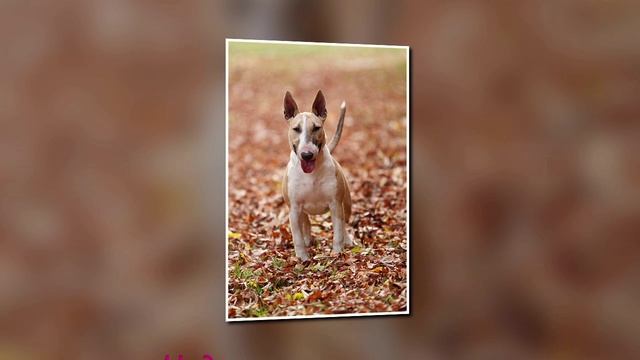 Дорогие подписчики с 8 марта!