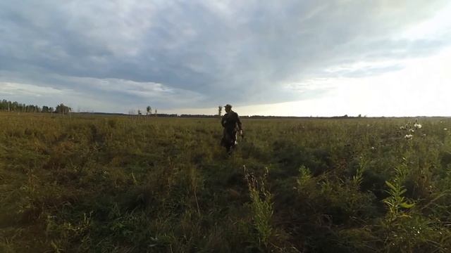 открытие охоты на утку 2020г осень смотреть онлайн