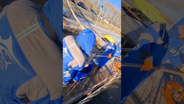 Запуск форели смотреть онлайн