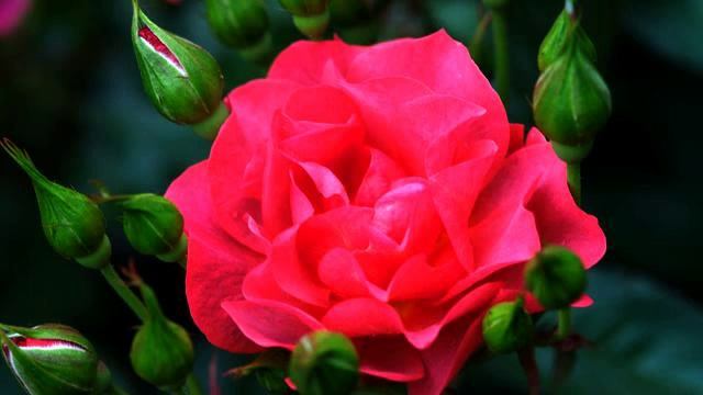 Канал лучших русских новинок и видео - класс! смотреть онлайн