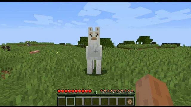 Блатная лама: Возвращение легенды смотреть онлайн