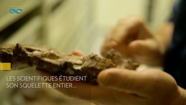 Le Patagotitan смотреть онлайн