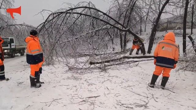 Службы Владивостока расчищают дороги от упавших деревьев смотреть онлайн