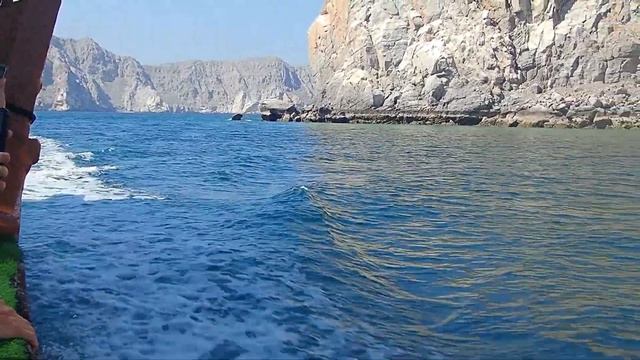 Дельфин во фьордах Хасаба смотреть онлайн