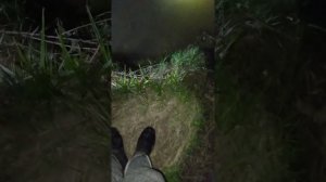 Закололи острогой, лучили ночью, Рыбалка на ручье