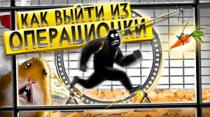 Как выйти из операционки Твой план действий