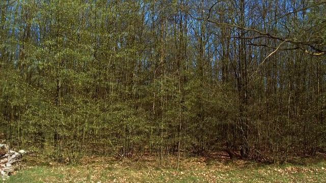 Timelapse lightning in the World - Силы Природы смотреть онлайн