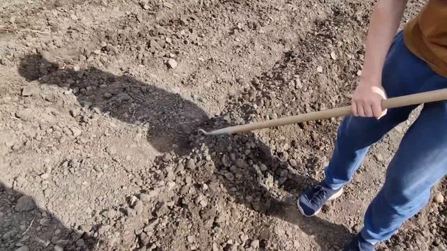 картоха и лук посажены! Ваня устроился на работу) смотреть онлайн