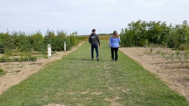 Lauréat CONCOURS 2018 Financière agricole Pépiniere Casse-Noisette inc. смотреть онлайн