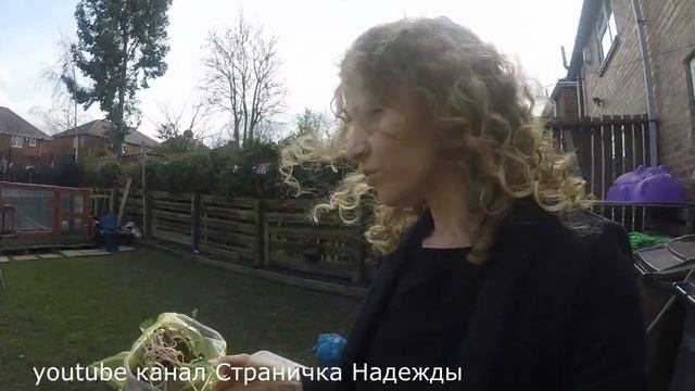 Влог // весенние посадки перед снежной бурей смотреть онлайн