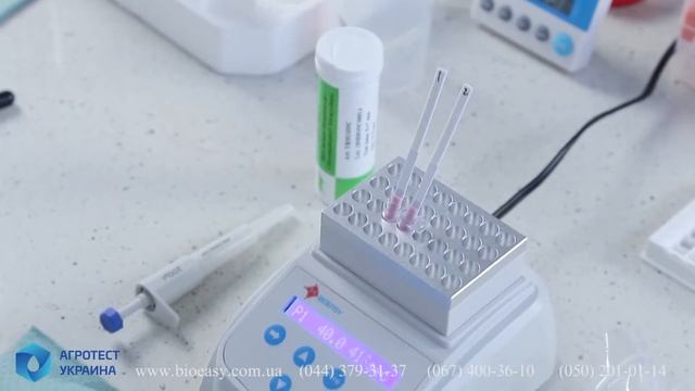 Bioeasy (Биоизи)