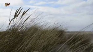 Shamol ovozi eshitib dam oling/風の音/sound of wind/звук ветра/шамол овози