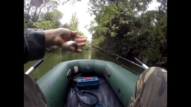 Lydeka žmonos Gimtadieniui.