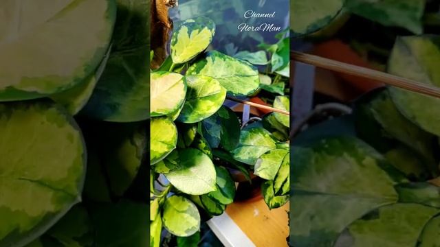 4 июля 2023 г. смотреть онлайн