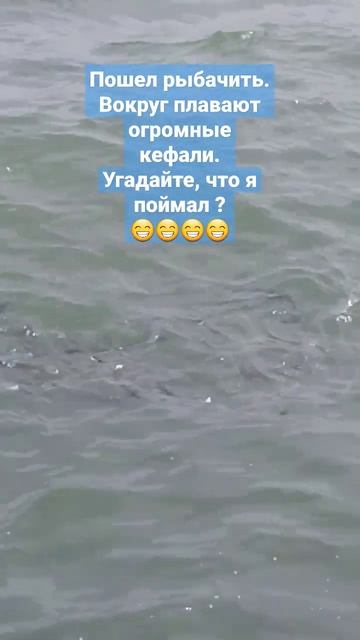 рыбалка на Каспии. вокруг плавали косяки кефали), но чёт ловиться они не желали. #fishing #shorts смотреть онлайн