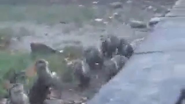 Пропрошайки.avi смотреть онлайн