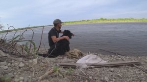 Ловим Рыбца на резинку на Дону