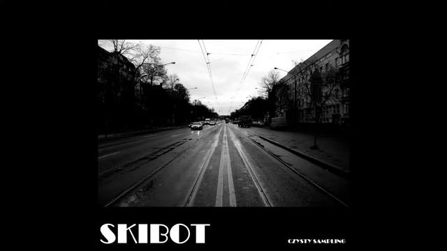 12. Skibot - Swing that shit смотреть онлайн