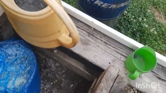 25 июня, подкармливаю перцы, огурцы, баклажаны и кабачки. смотреть онлайн