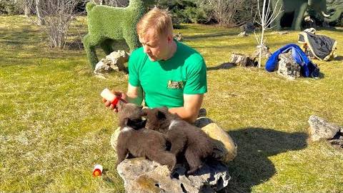 Олег Зубков кормит маленьких Топу и Кнопу и рассказывает почему никто не хочет б смотреть онлайн