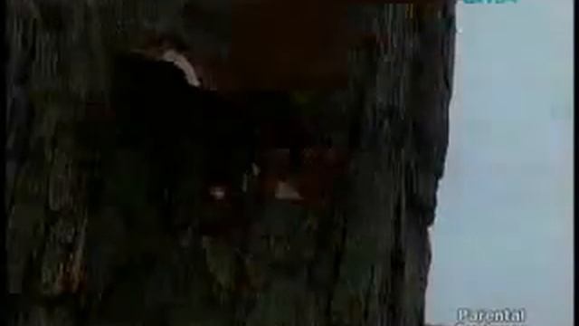 GMA - Machete - Episode 1 (January 24 2011) part 6 смотреть онлайн