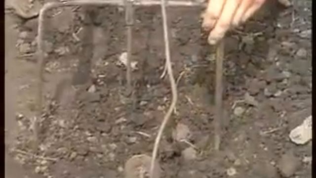 Секрет ловли слепыша на огороде смотреть онлайн