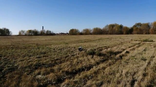 Жестокая охота на кота :-) смотреть онлайн