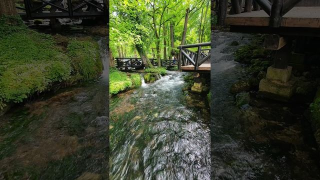 VRELO ✨️ REKA ✨️ GODINA ✨️ PERUCAC #vrelo #river #tara #drina #srbija #pastrmka смотреть онлайн