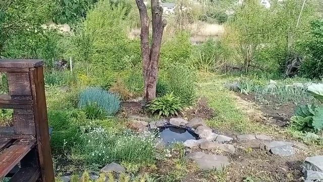 Пруд из шины смотреть онлайн