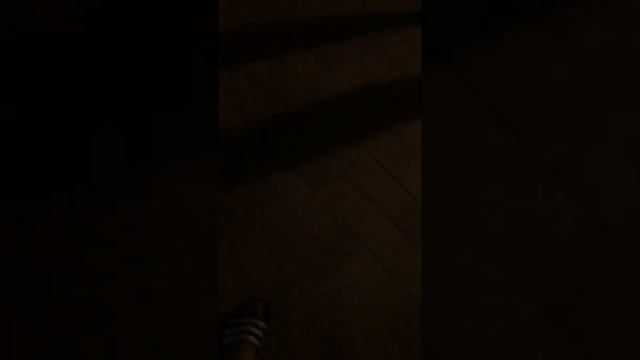 Nascondino Nella Giungla Pokemon/episodio 1