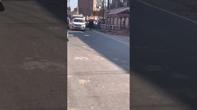 Битва обезьян 😱🤯 смотреть онлайн