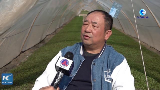GLOBALink | Pakistan-China red chili project to help uplift Pakistan's agriculture sector смотреть онлайн