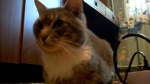 гузя не понимает смотреть онлайн