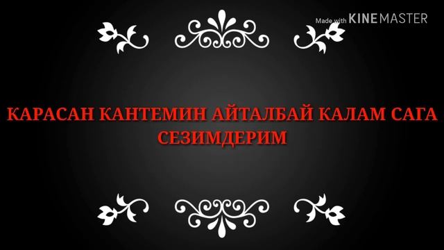 Emu star《Daniel Kanatbekov》Сезим смотреть онлайн