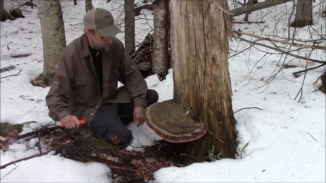 Galivan De Incolma 12" Survival Machete - Test & Review - Bushcraft / Survival Gear смотреть онлайн