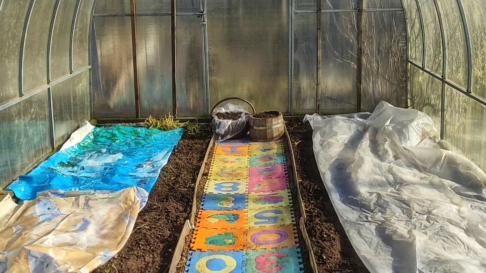 Подготавливаем теплицу к новому сезону 2025.Первые посевы в марте.Что будем сеять в теплице в марте смотреть онлайн