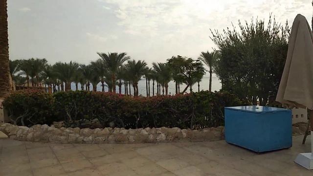 The Grand hotel Шарм!!! Обзор территории и моря! смотреть онлайн