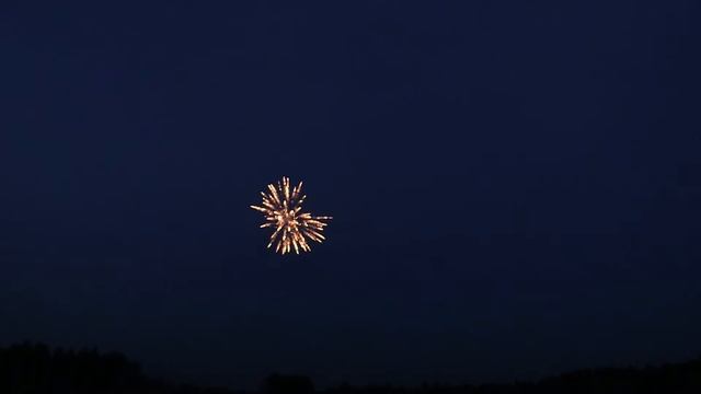 Willow   Crackling Rain Willow