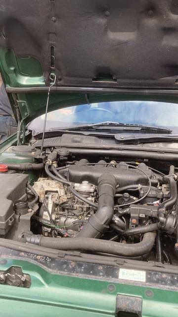 Peugeot 406 2.1 td, Bosch 11mm pump cold start смотреть онлайн