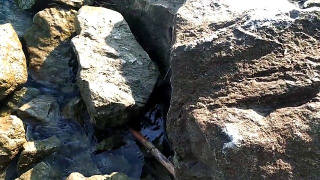 И снова рыбалка, и снова самая голодная змея! 🤣 смотреть онлайн