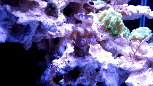 VID 20171108 140416 смотреть онлайн