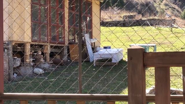 Москитная сетка от паучков смотреть онлайн