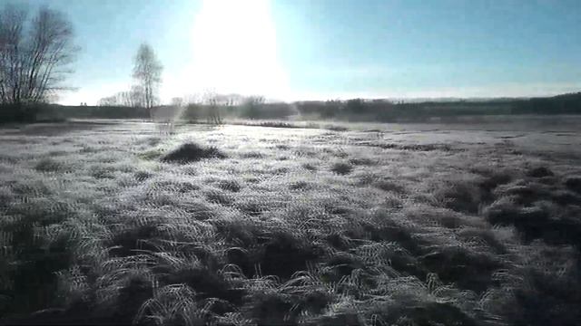 Лучший художник смотреть онлайн