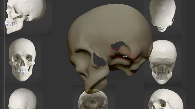 Sculpting a Skull in zBrush смотреть онлайн