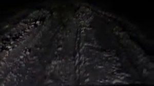 луаз вид из кабины