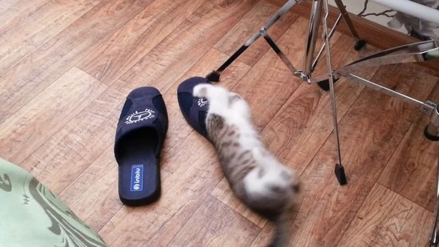 Дневники Коры 003 смотреть онлайн